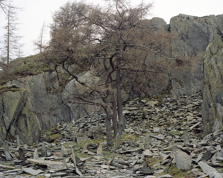 Simon Griggs The Cave Hotel