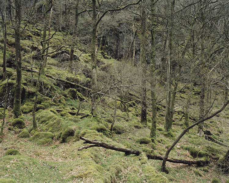 Simon Griggs The Cave Hotel